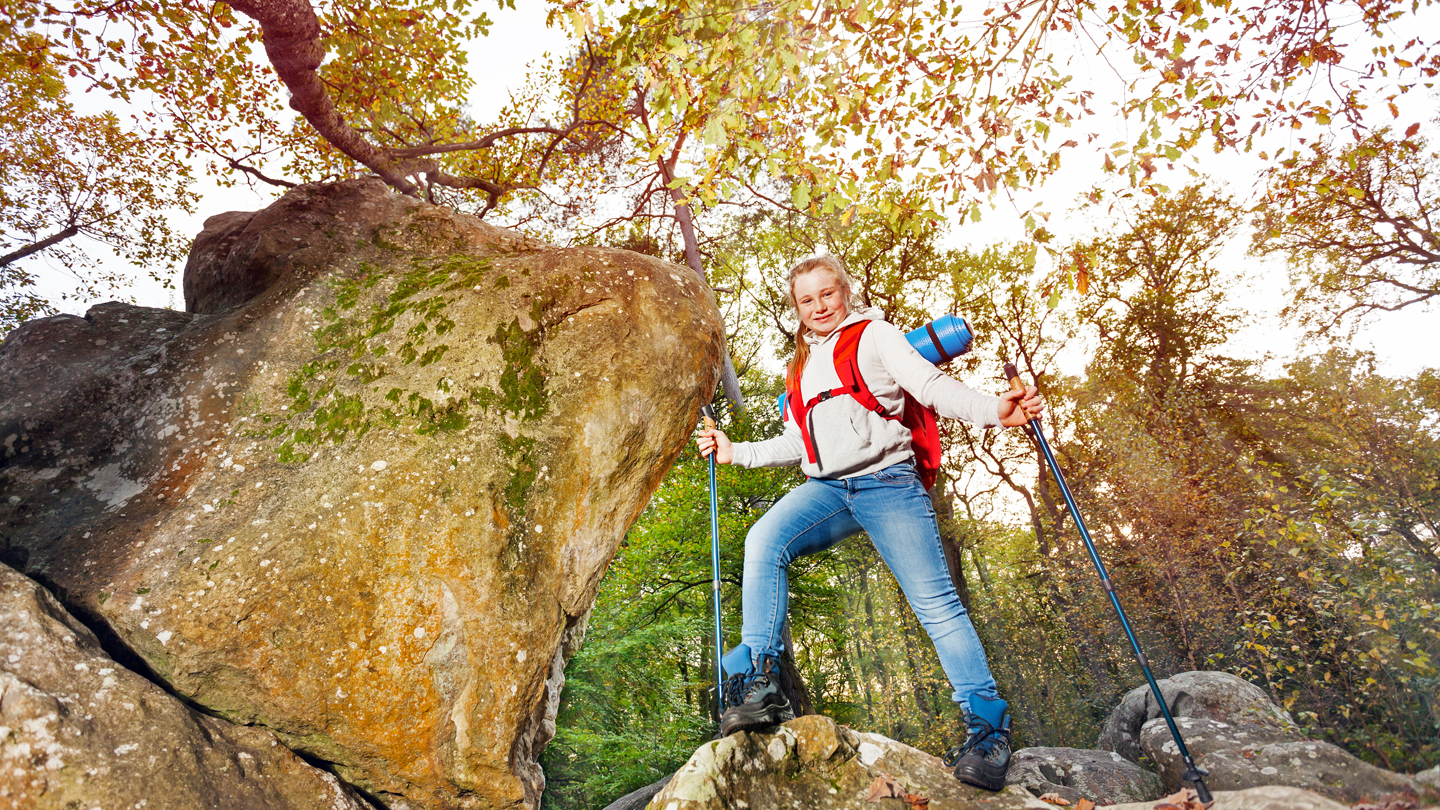 Familien Abenteuer Im Wald Wwf Junior