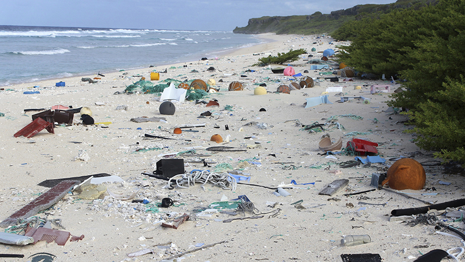 Plastikmüll im Meer WWF Junior