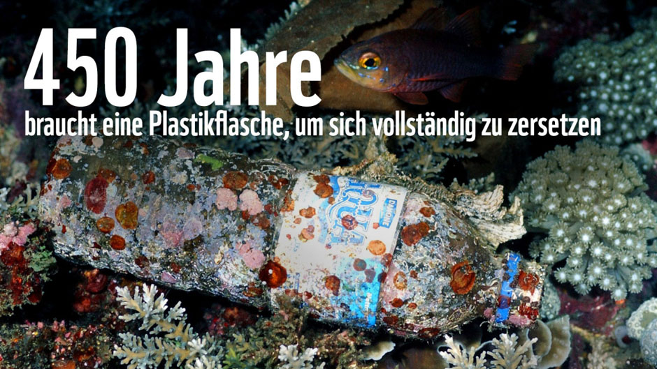 Plastikm Ll Im Meer Wwf Junior