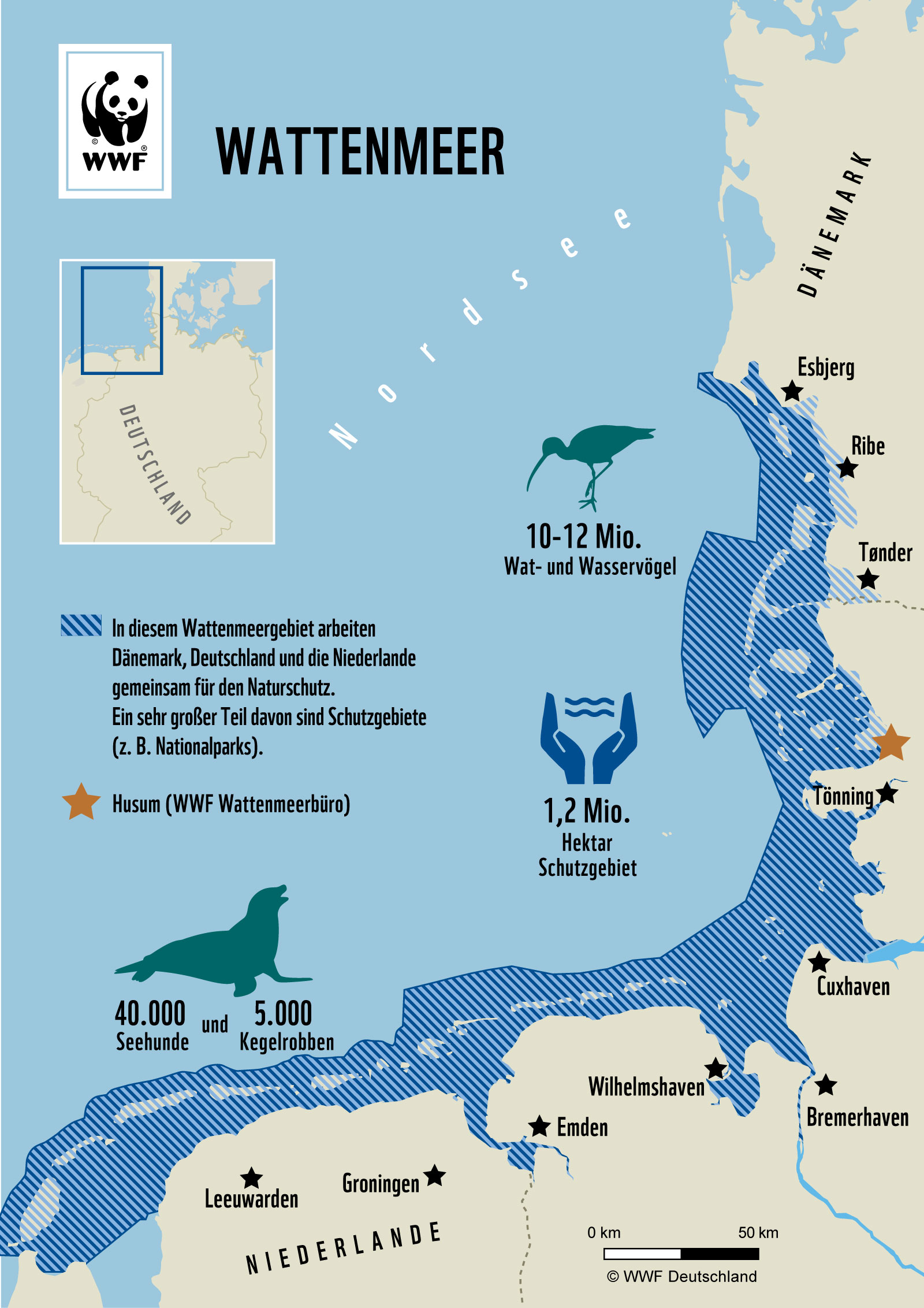 Das Wattenmeer - WWF Junior