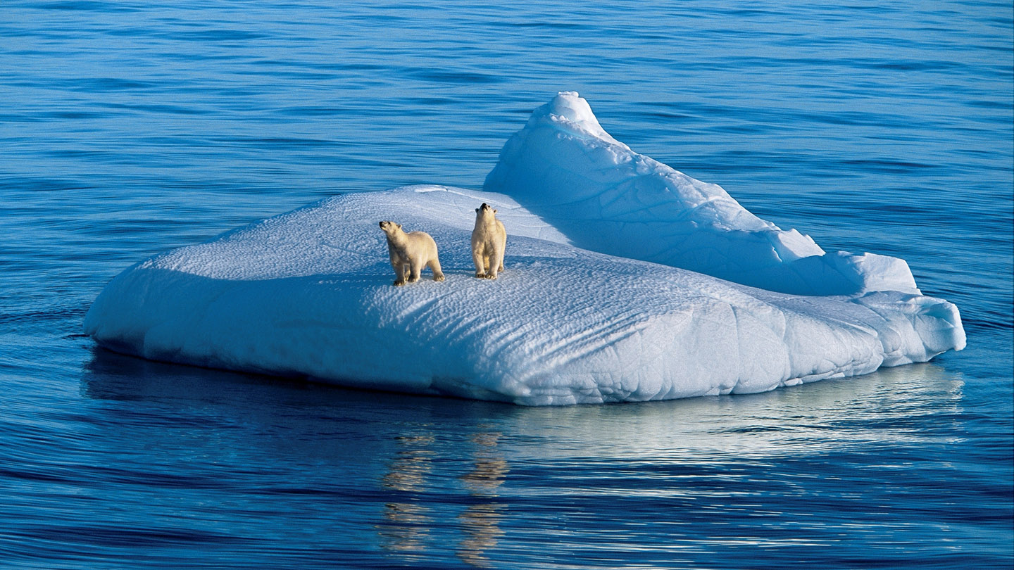 Klimawandel: Was passiert da gerade? - WWF Junior