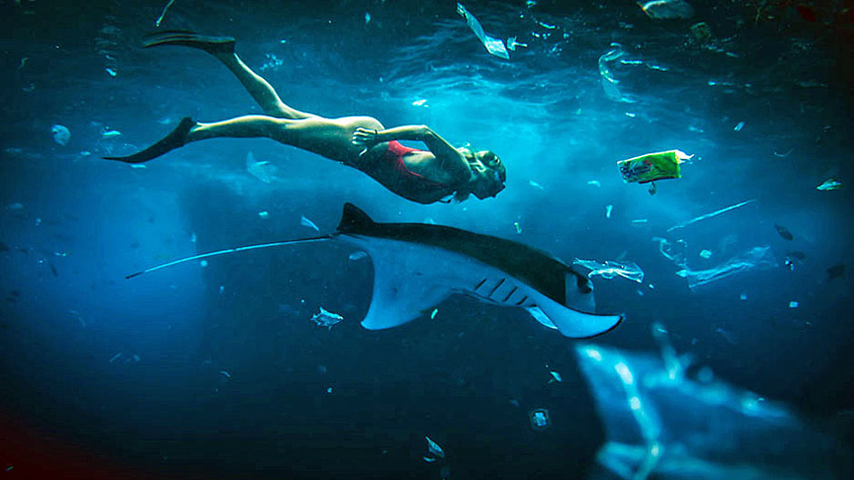 Plastikmüll Im Meer - WWF Junior